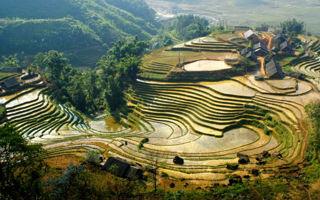 Sapa Terraced Rice Fields trekking